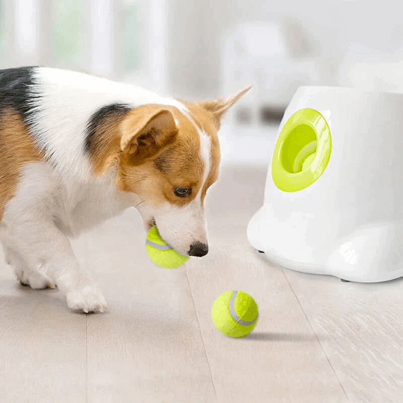 GoodPaw™ Premium Ball Launcher