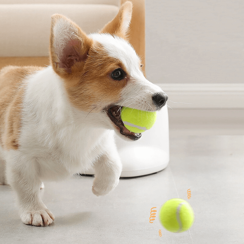 GoodPaw™ Premium Ball Launcher