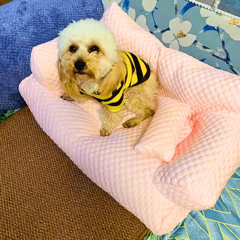 GoodPaw™ Breathable Washable Sofa Bed