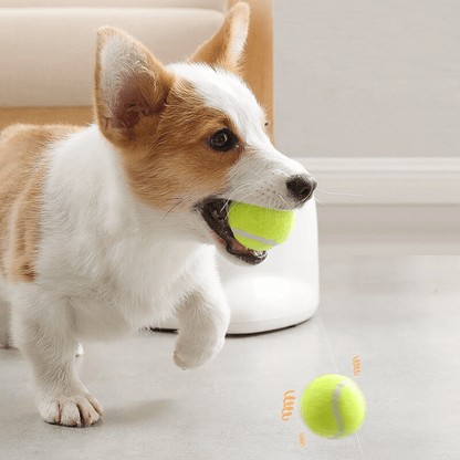 GoodPaw™ Premium Ball Launcher